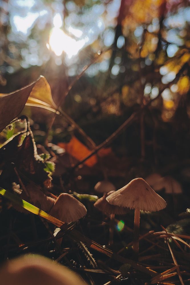 Фотография автора Дарья Дреко