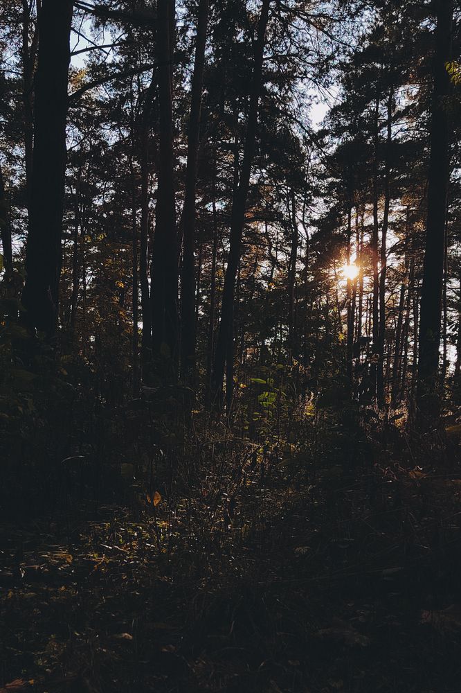 Фотография автора Дарья Дреко