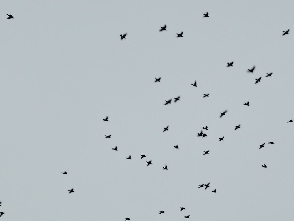 Photograph by Анна Юнг