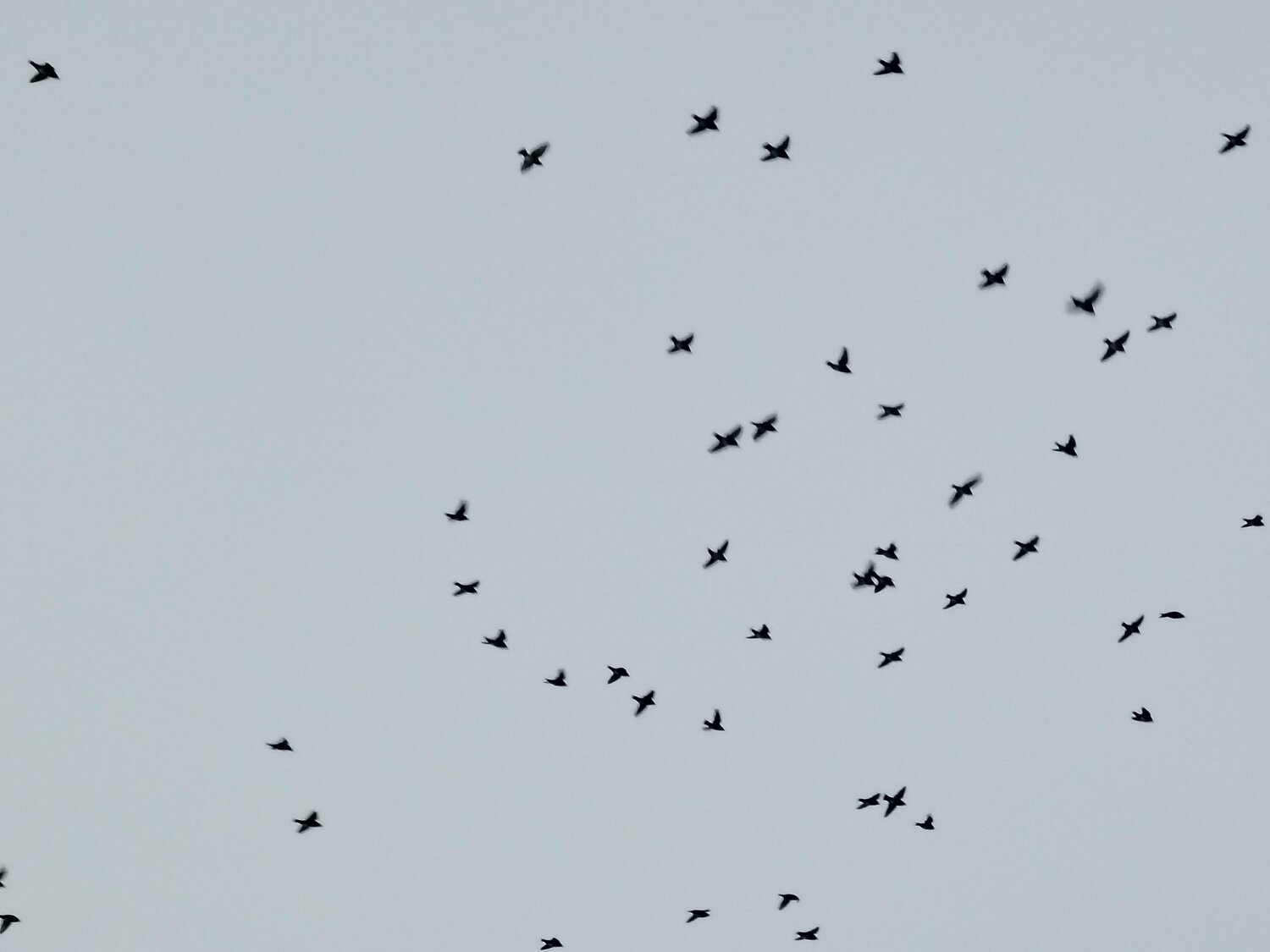 Photo #11840779