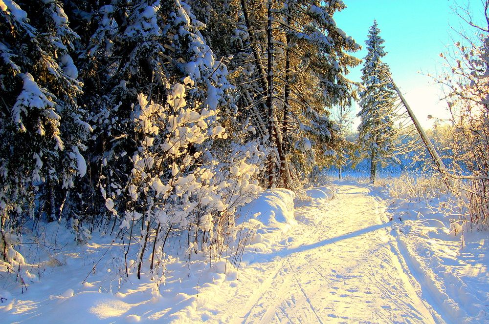 Photograph by Михаил Вечерский