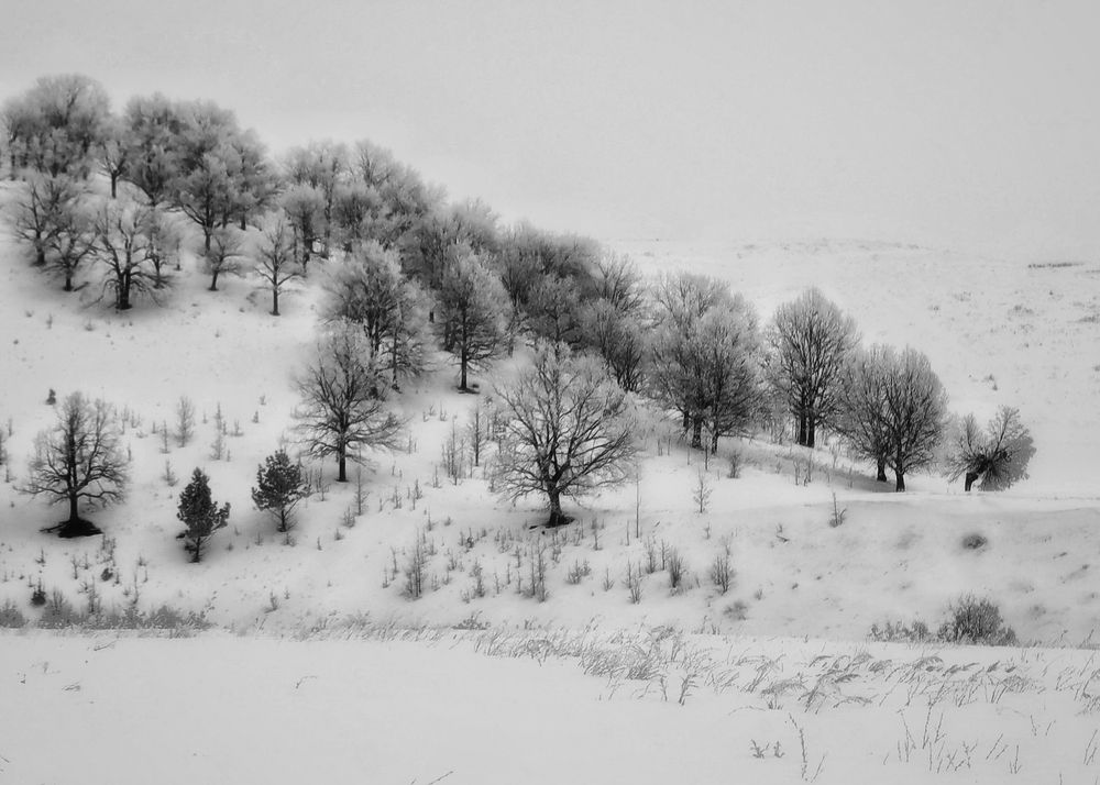 Photograph by Кира Бахвалова