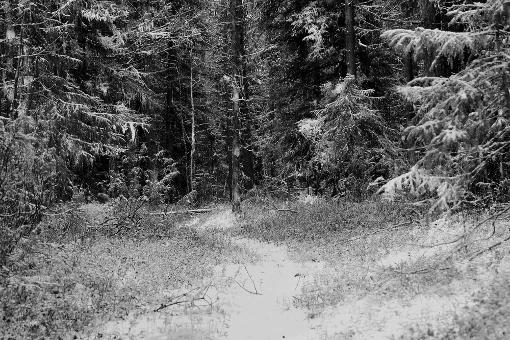 Photograph by Екатерина Филина