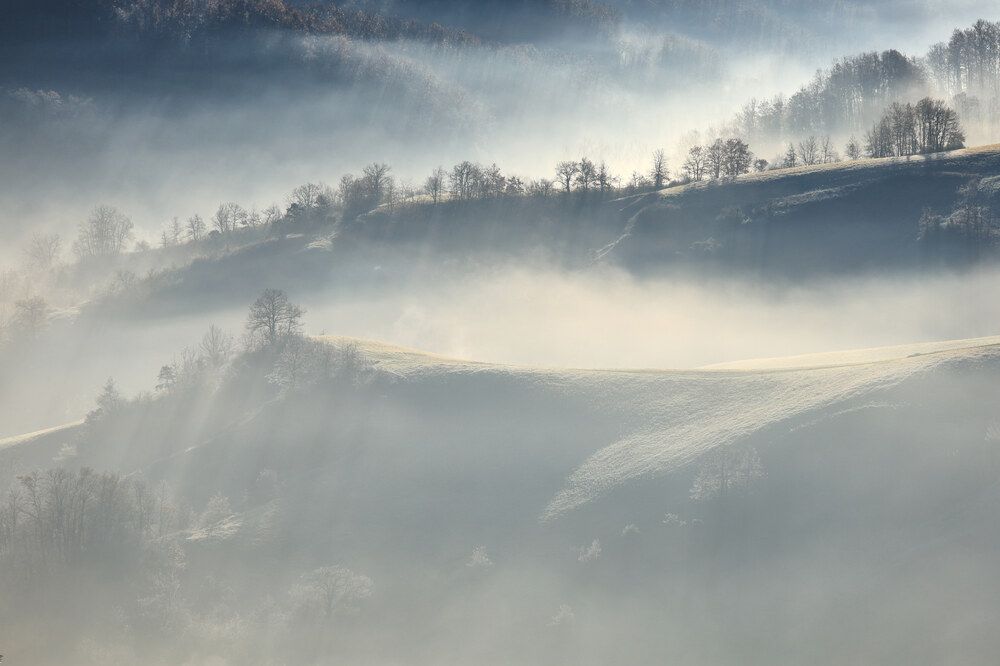 Photograph by Cristian Bertolini