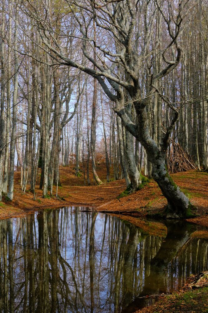 Photograph by Cristian Bertolini