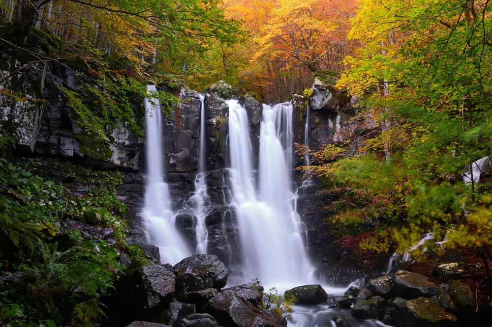 Photograph by Cristian Bertolini