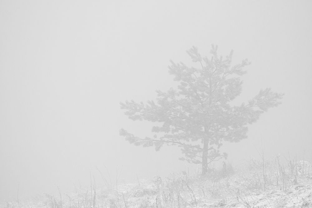 Photograph by Дмитрий Батенёв