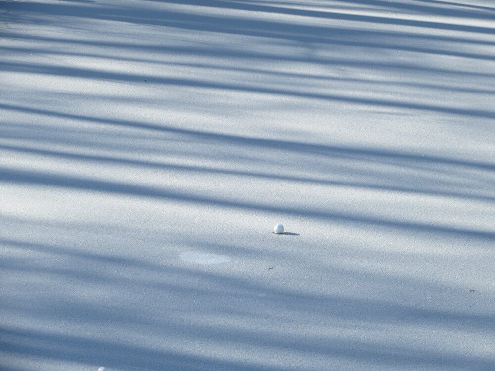 Photograph by Татьяна Поминова