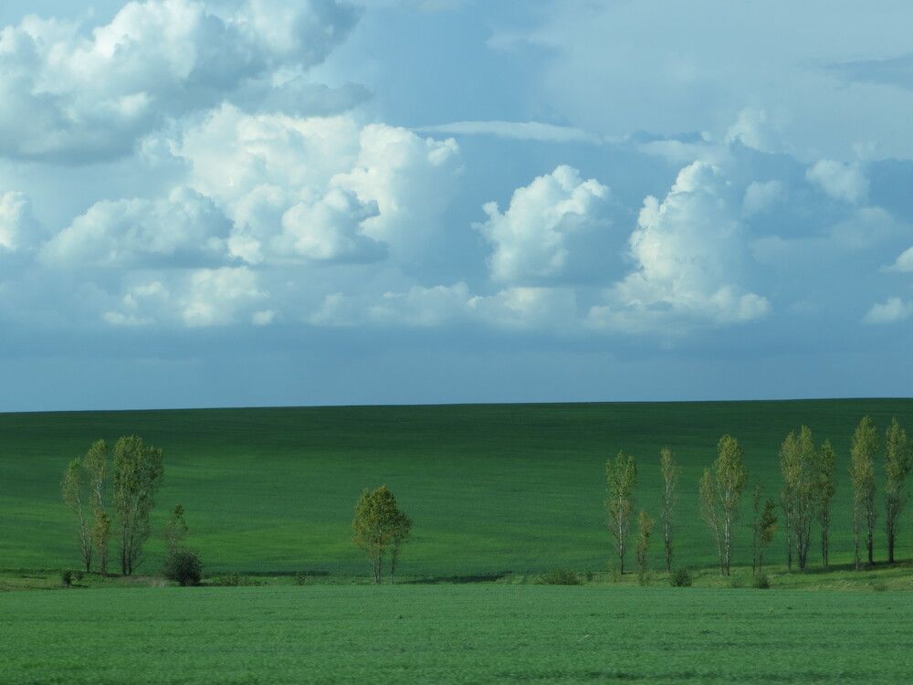 Photograph by Татьяна Поминова