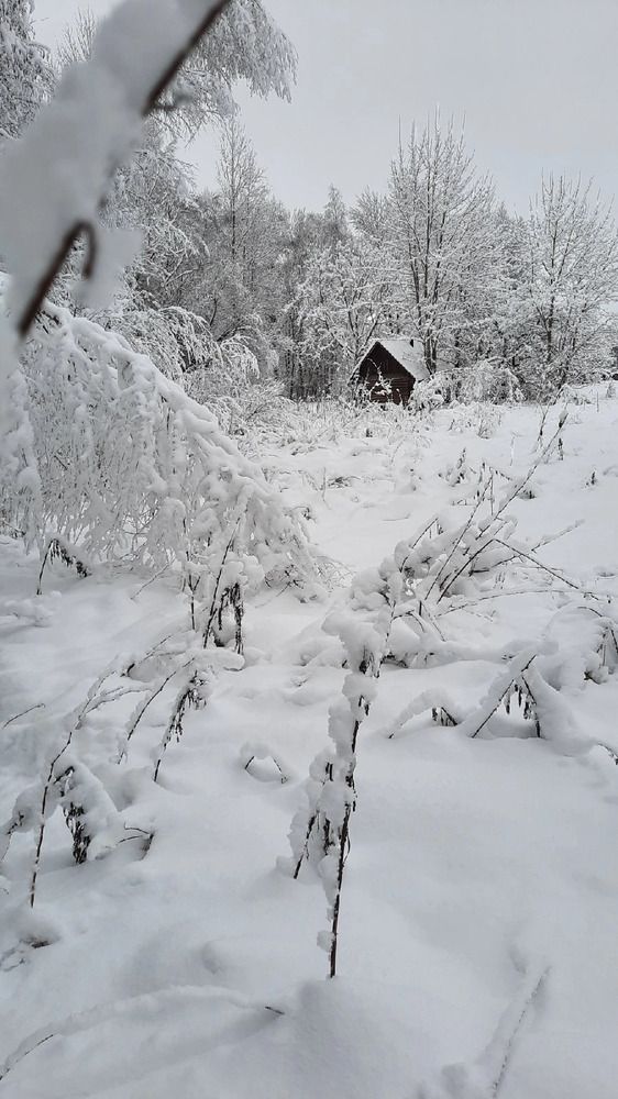 Фотография автора Татьяна Прашкевич