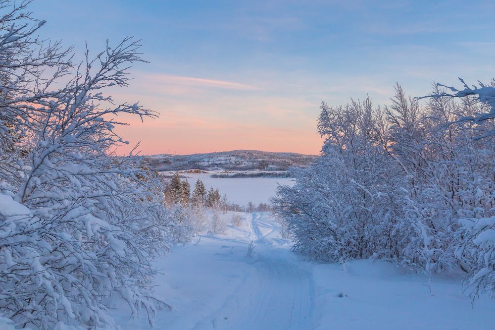 Photograph by Зоя Эль