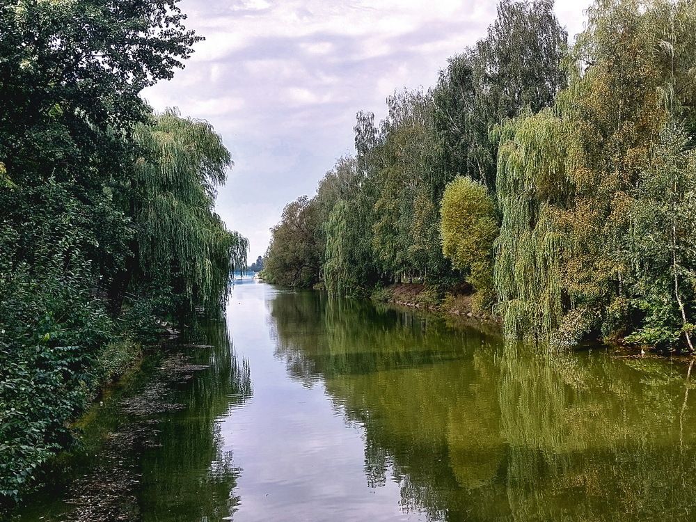 Photograph by Шкарупа Тамара