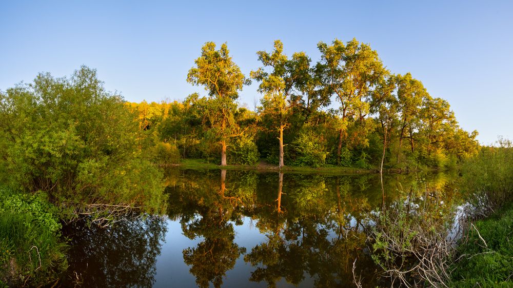 Photograph by Алексей Вяткин