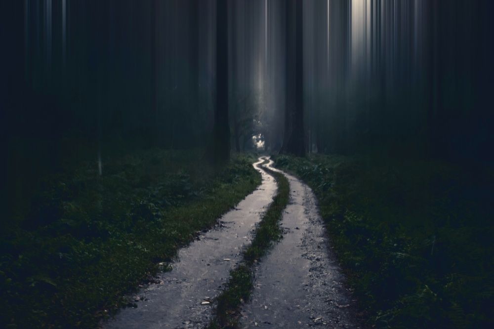 Photograph by Saikat Singha