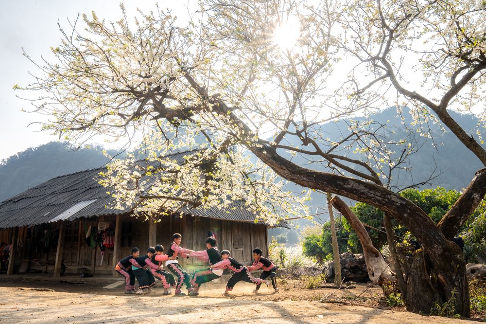 Photograph by Le Hoang Vu