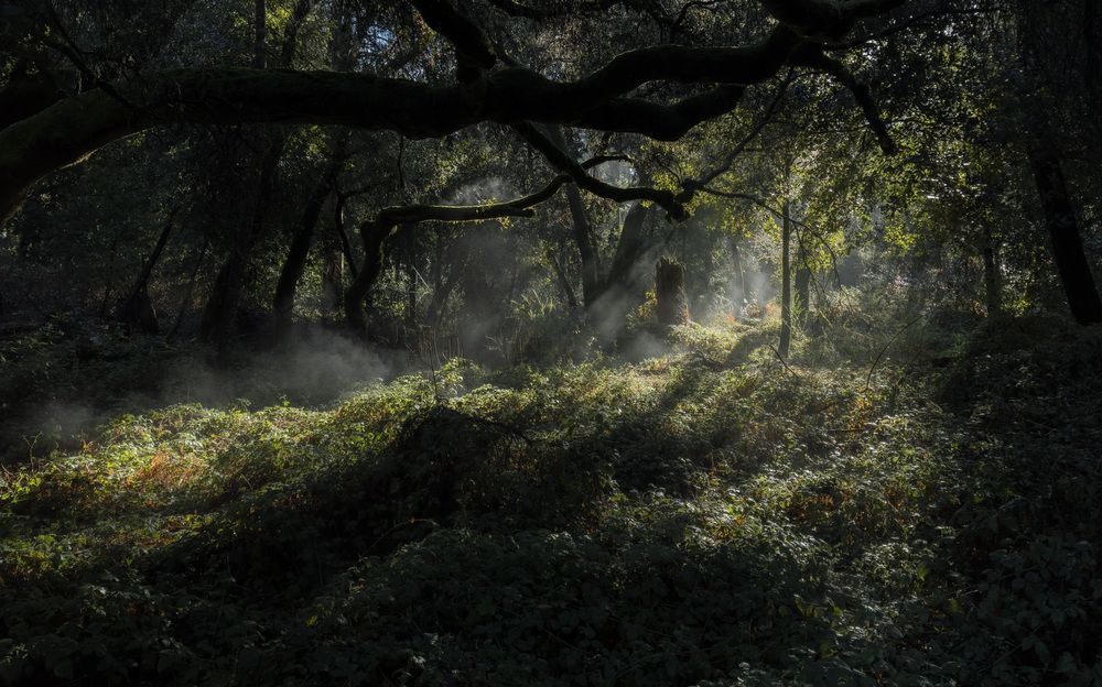 Фотография автора Yulin Ye