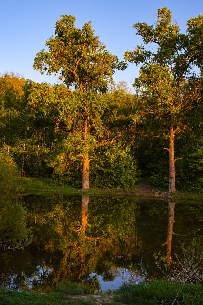 Photograph by Алексей Вяткин