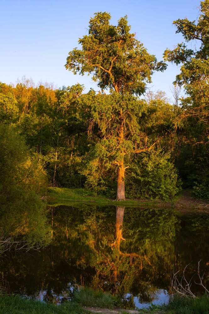 Photograph by Алексей Вяткин