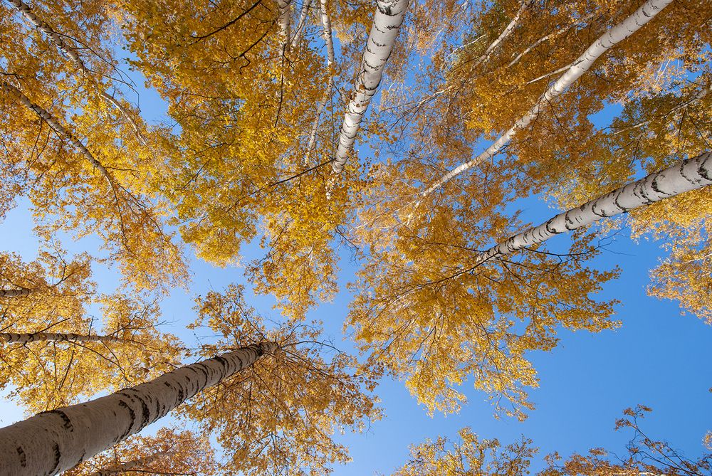 Photograph by Сергей Шварцман