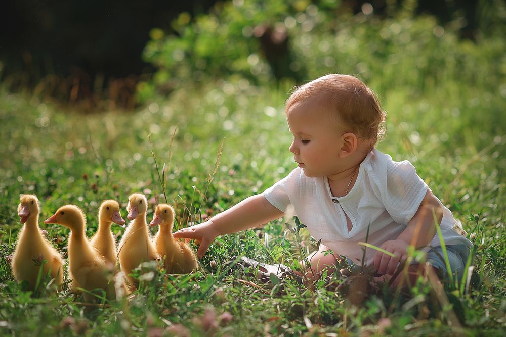 Photograph by Лариса Фомина