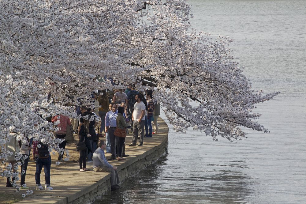 Photograph by Миронова Мила