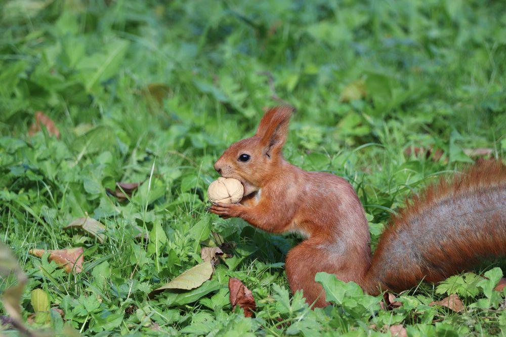 Photograph by Анастасия Артёменко