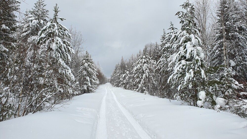 Фотография автора Иван Безрядин