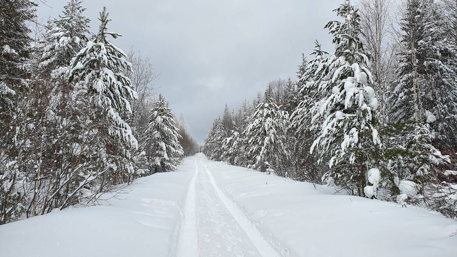 Фотография #11841106