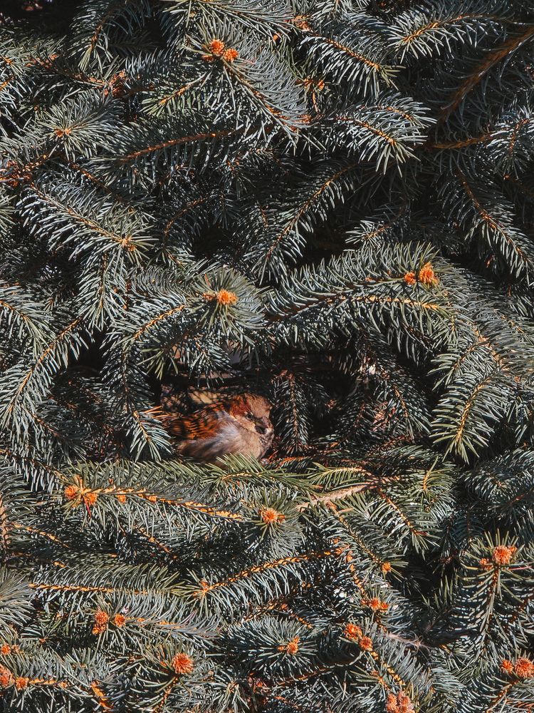 Photograph by Александра Воронина