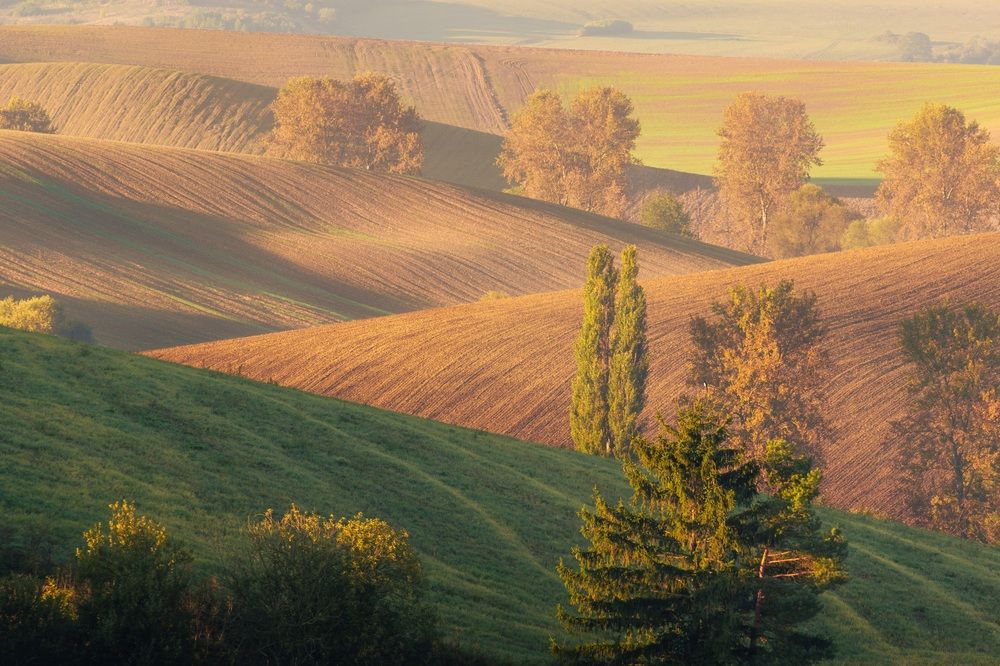 Photograph by Lukas Kulla