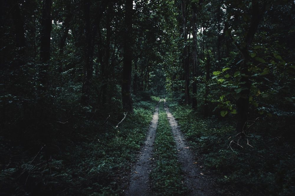 Photograph by Saikat Singha