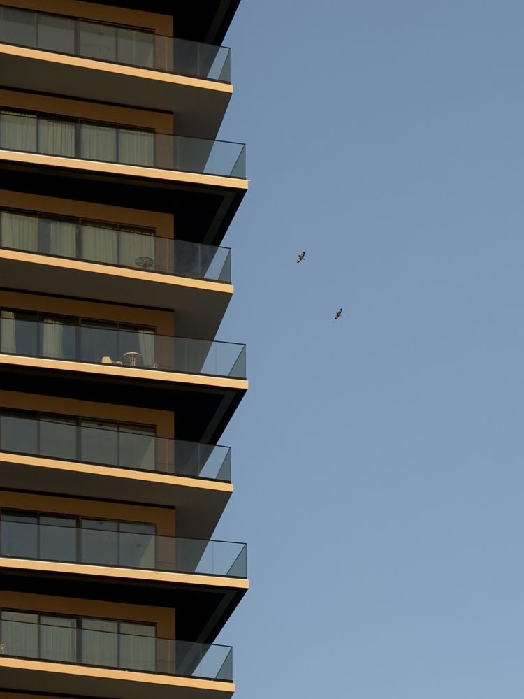 Photograph by Марина Кобелева