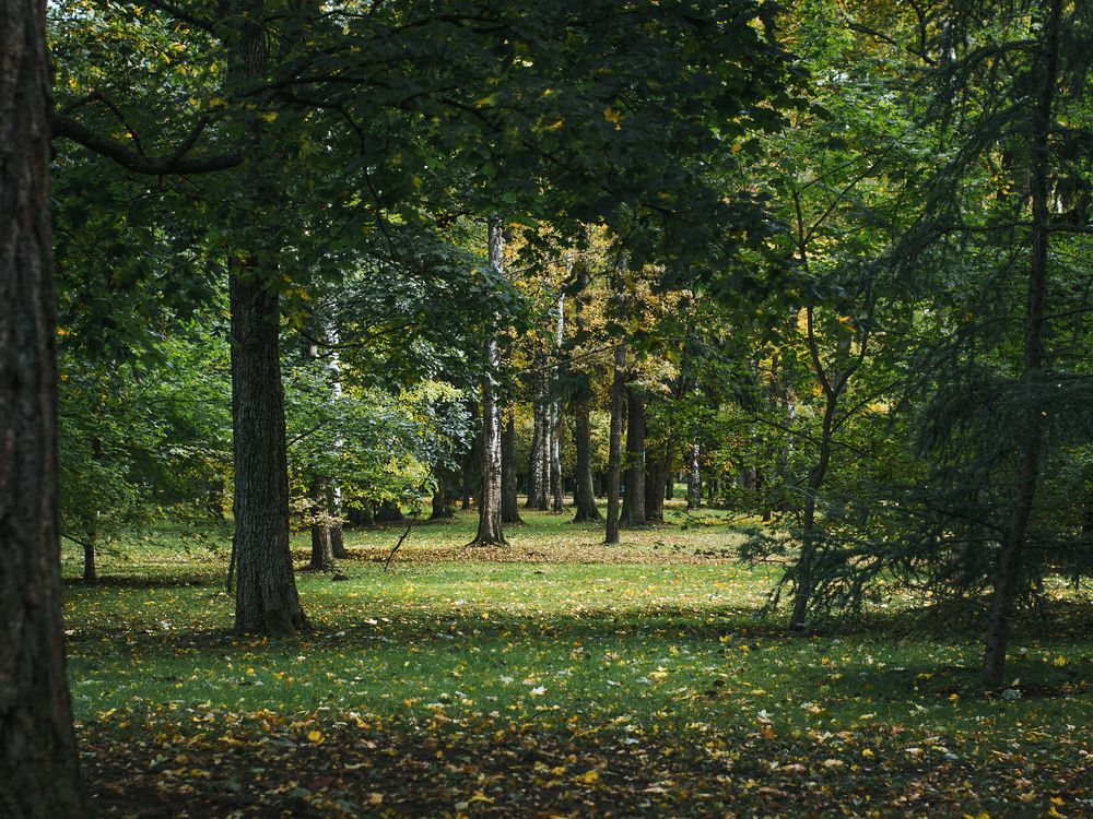 Photograph by Алина Стемковская