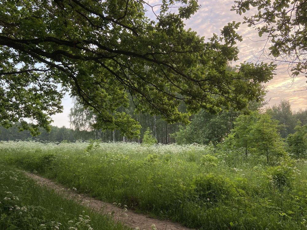 Фотография автора Anastasia