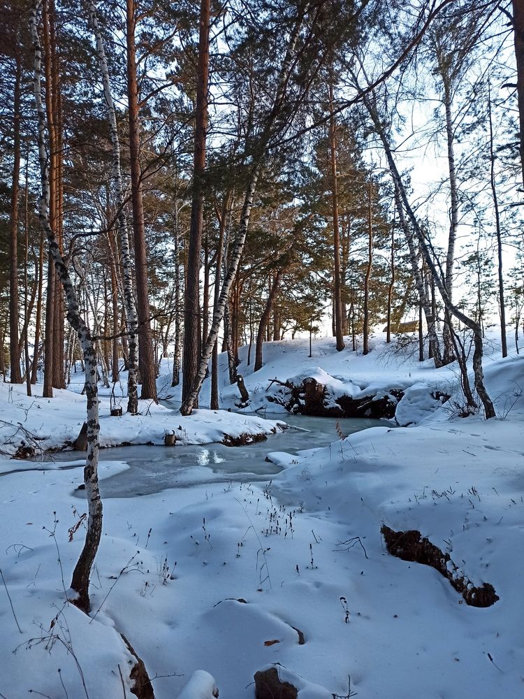 Photograph by Луцук Мария