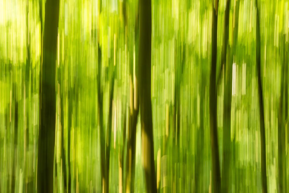 Photograph by Lukas Kulla