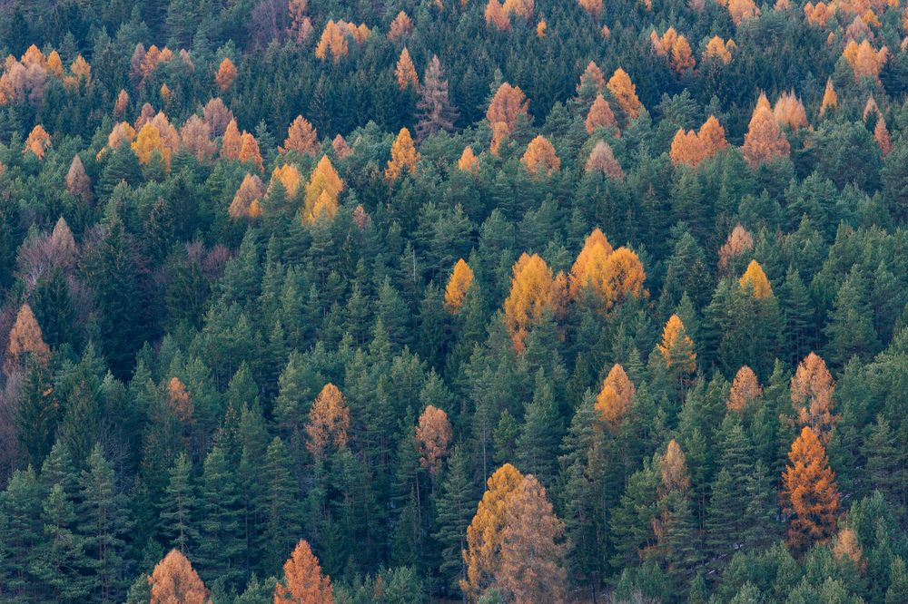 Photograph by Lukas Kulla