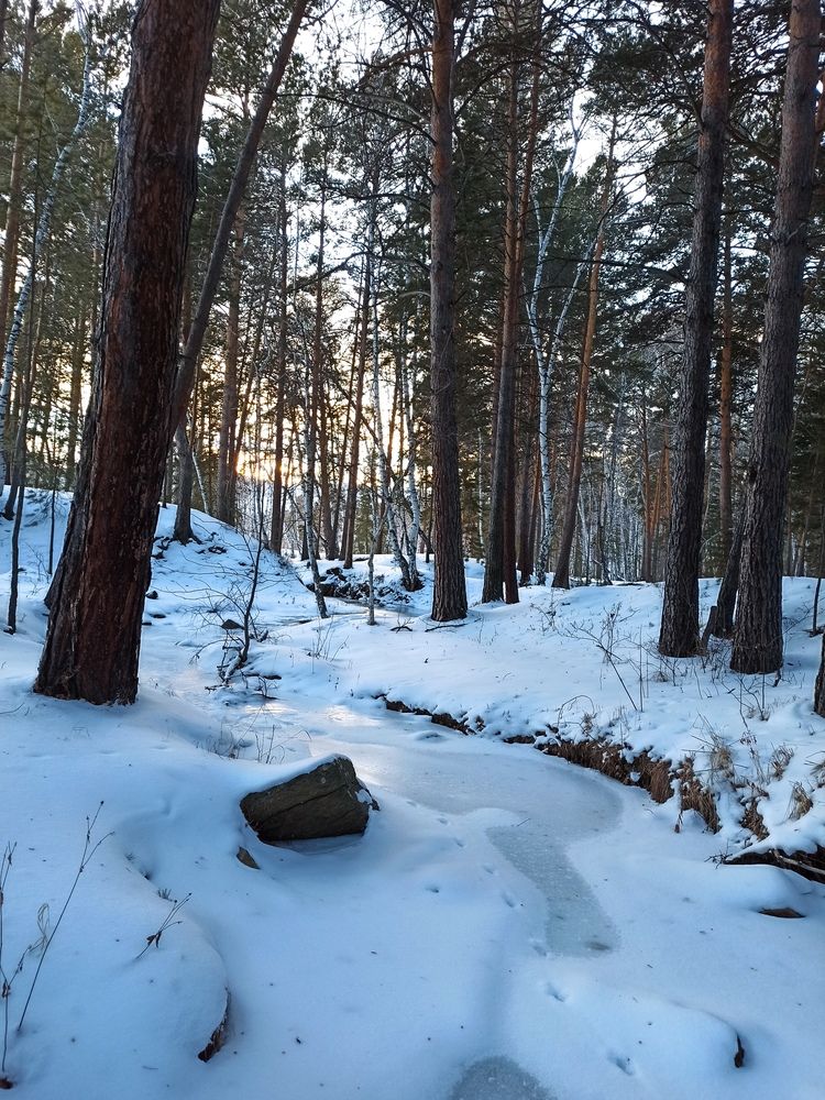 Фотография автора Луцук Мария