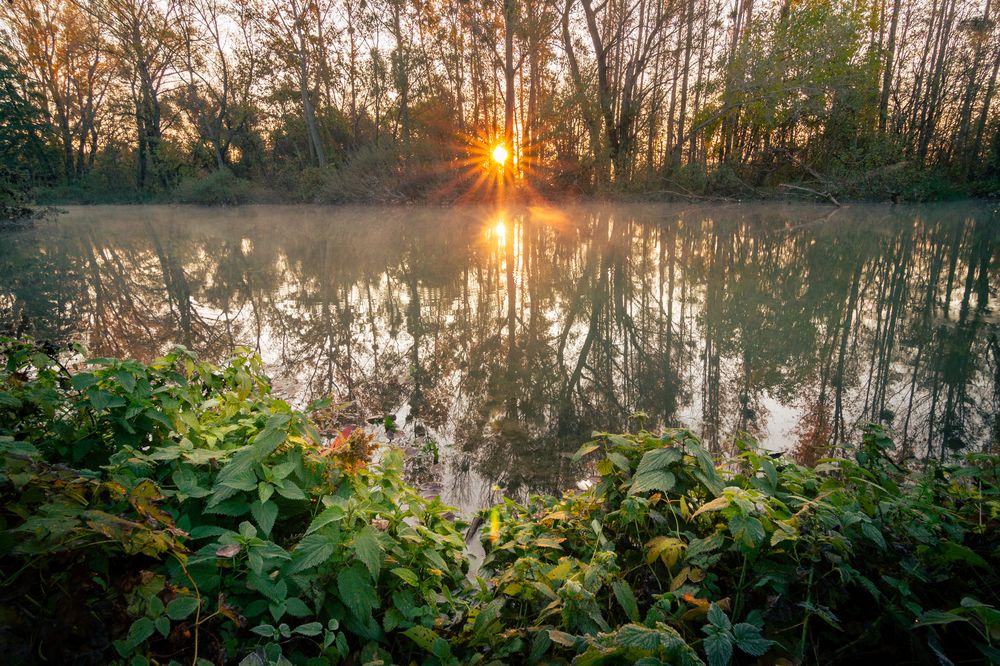 Photograph by Lukas Kulla