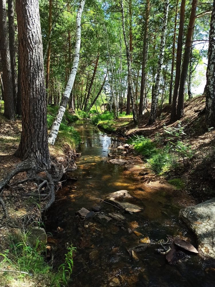 Фотография автора Луцук Мария