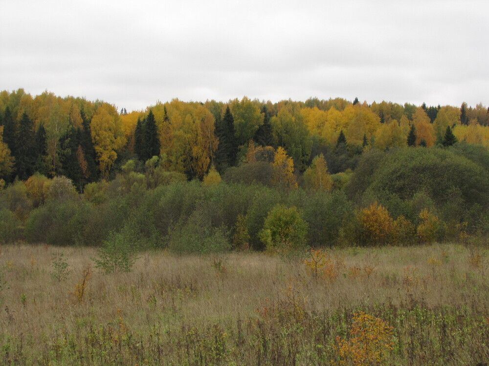 Фотография автора Кузьмичева Екатерина Васильевна