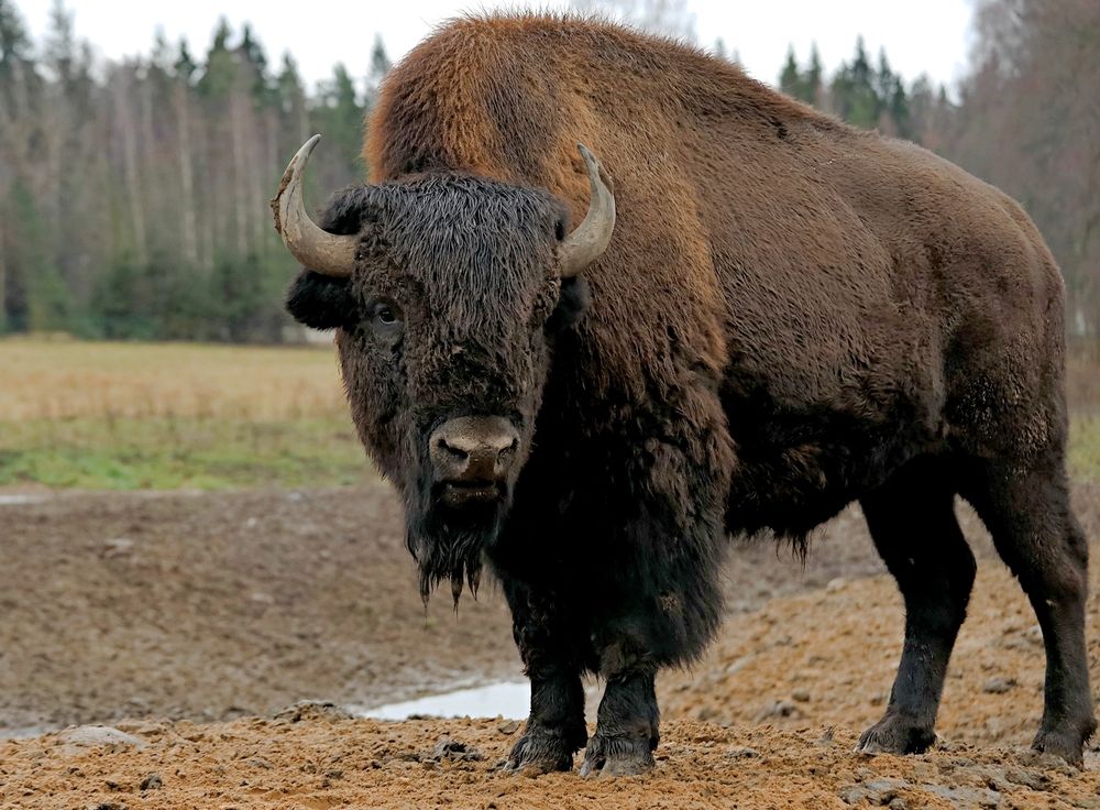 Photograph by Татьяна Слесарева