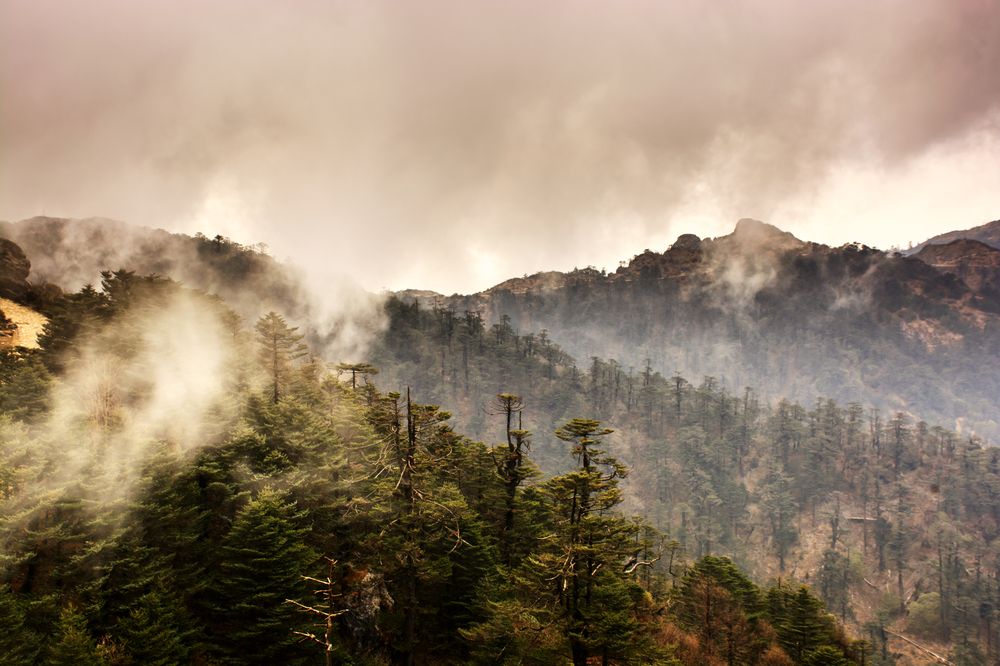 Photograph by Saikat Singha