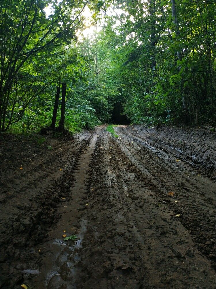 Photograph by Анастасия Кудина