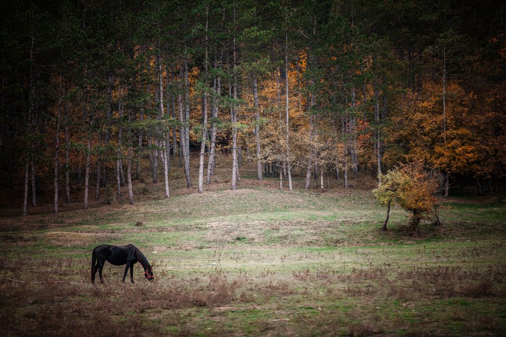 Там, где сердце замирает.