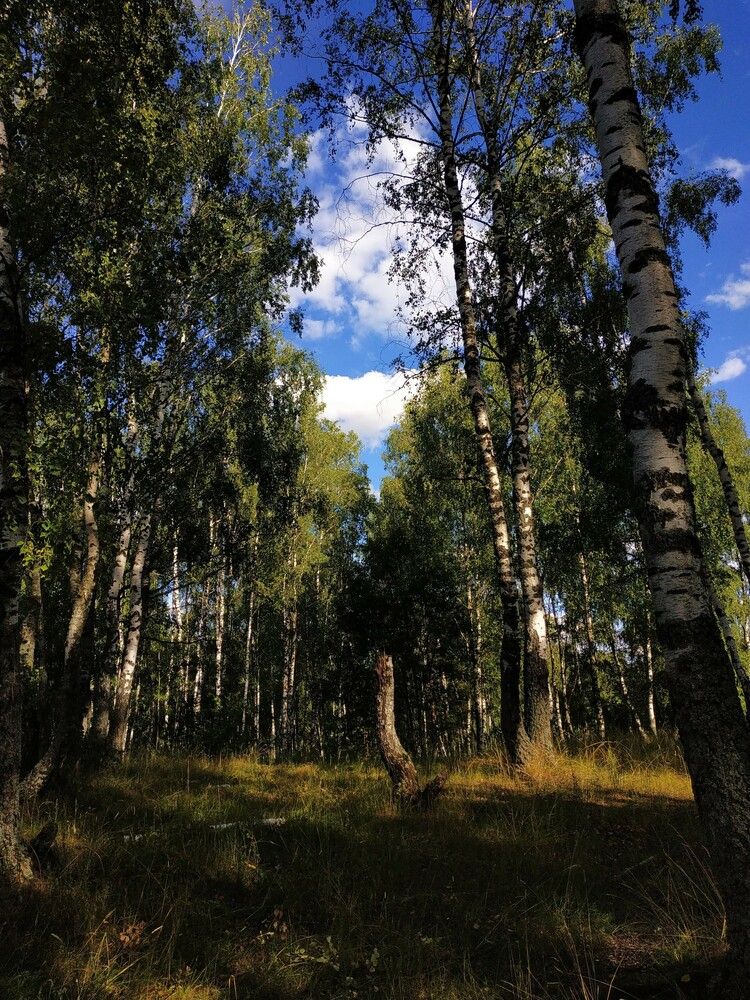 Photograph by Анастасия Кудина