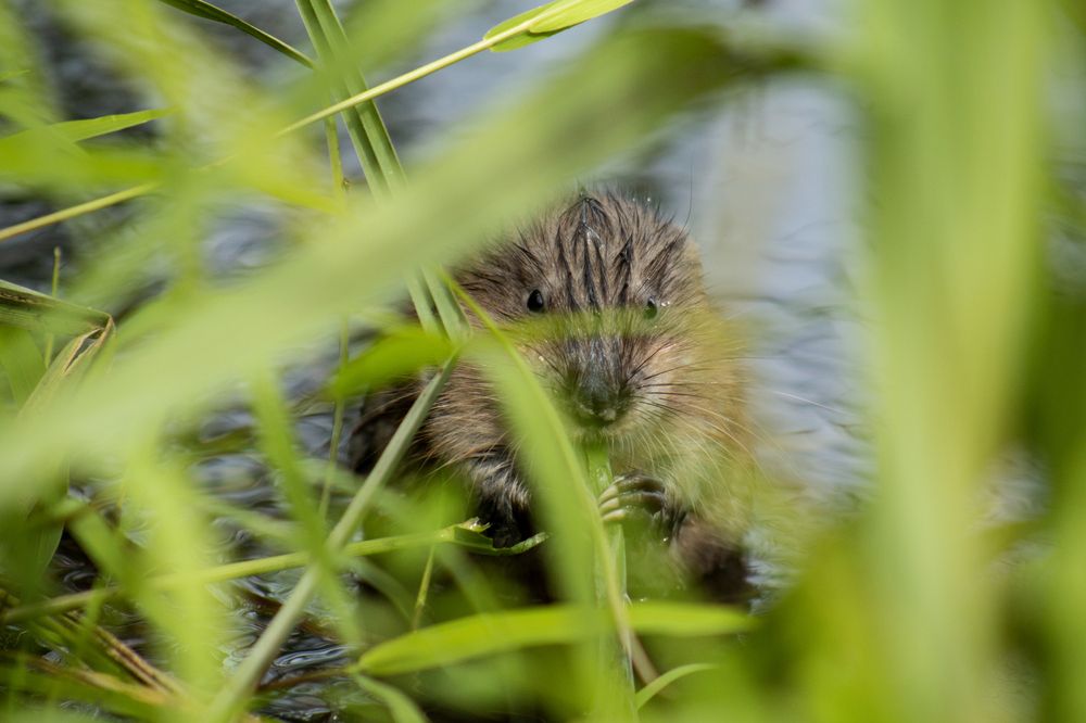 Photograph by Владислав