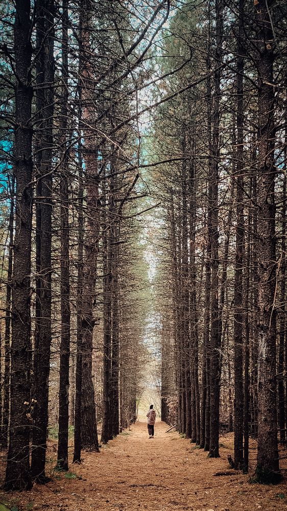 Photograph by Евгений Кривошеев