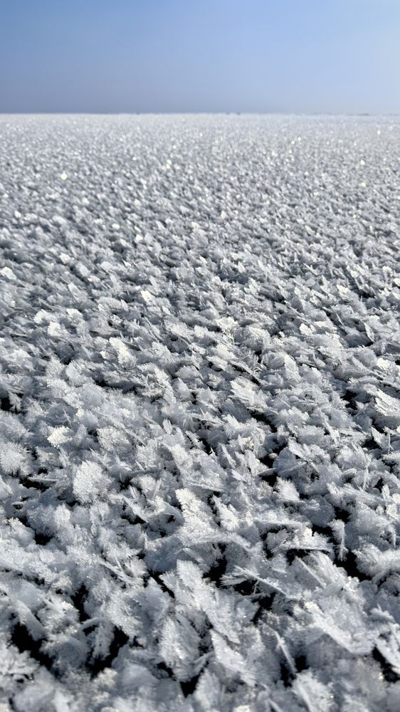 Photograph by Ольга Бибекина