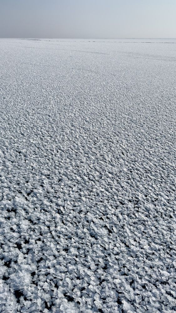 Ледяные цветы